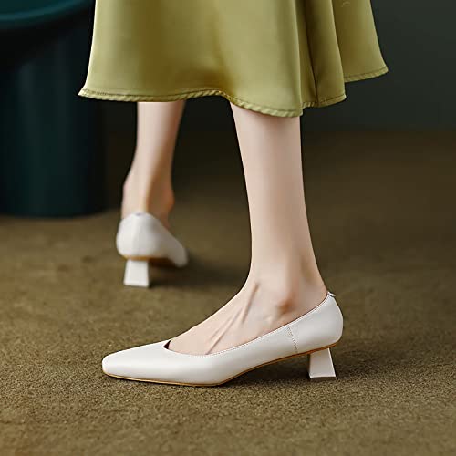 Zapatos de tacón para Mujer Zapatos de Vestir de tacón Alto Zapatos de tacón cómodos Zapatos de Oficina Zapatos Cerrados con Punta en Punta Stiletto Office Lady Zapatos de Fiesta de Boda Origin China