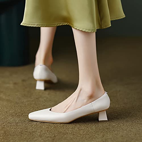 Zapatos de tacón para Mujer Zapatos de Vestir de tacón Alto Zapatos de tacón cómodos Zapatos de Oficina Zapatos Cerrados con Punta en Punta Stiletto Office Lady Zapatos de Fiesta de Boda Origin China