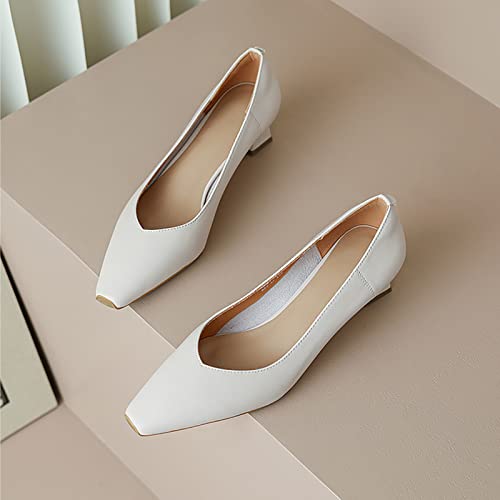 Zapatos de tacón para Mujer Zapatos de Vestir de tacón Alto Zapatos de tacón cómodos Zapatos de Oficina Zapatos Cerrados con Punta en Punta Stiletto Office Lady Zapatos de Fiesta de Boda Origin China