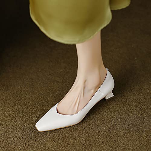 Zapatos de tacón para Mujer Zapatos de Vestir de tacón Alto Zapatos de tacón cómodos Zapatos de Oficina Zapatos Cerrados con Punta en Punta Stiletto Office Lady Zapatos de Fiesta de Boda Origin China